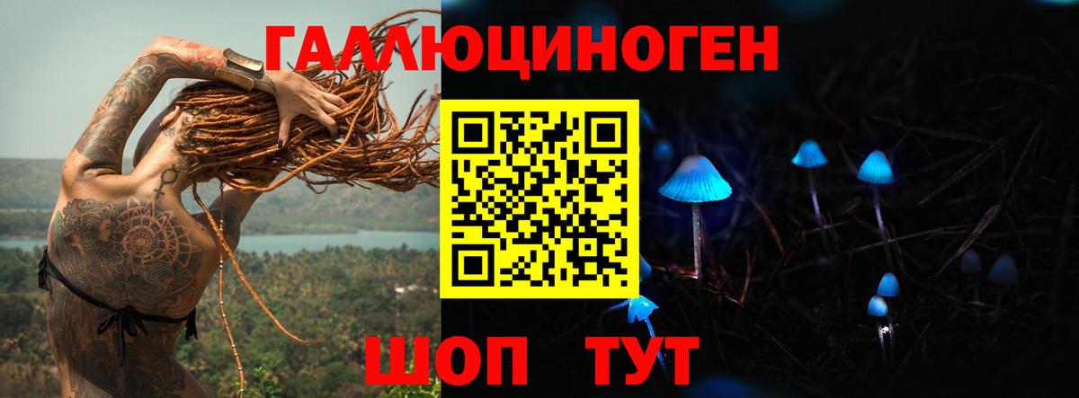 Псилоцибиновые грибы GOLDEN TEACHER Сунжа